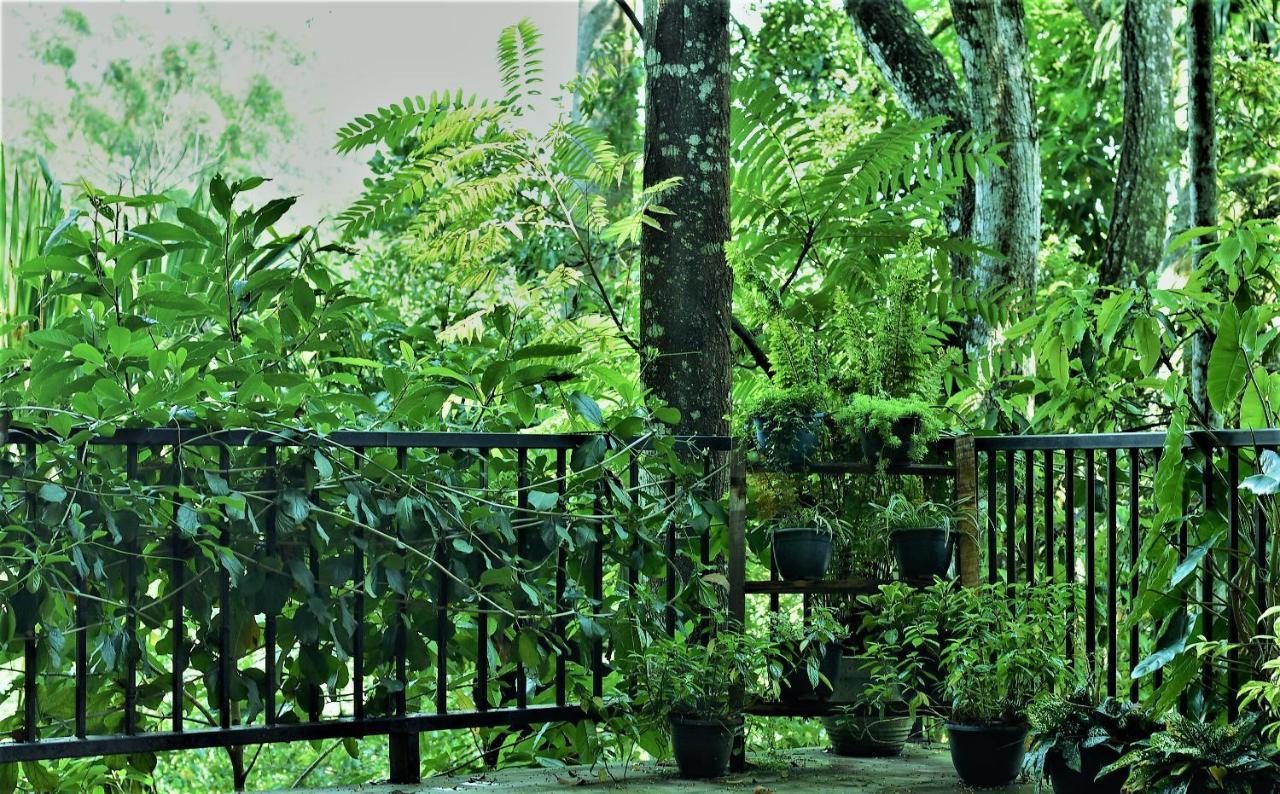 Samadhi Nature Resort Ella Eksteriør billede
